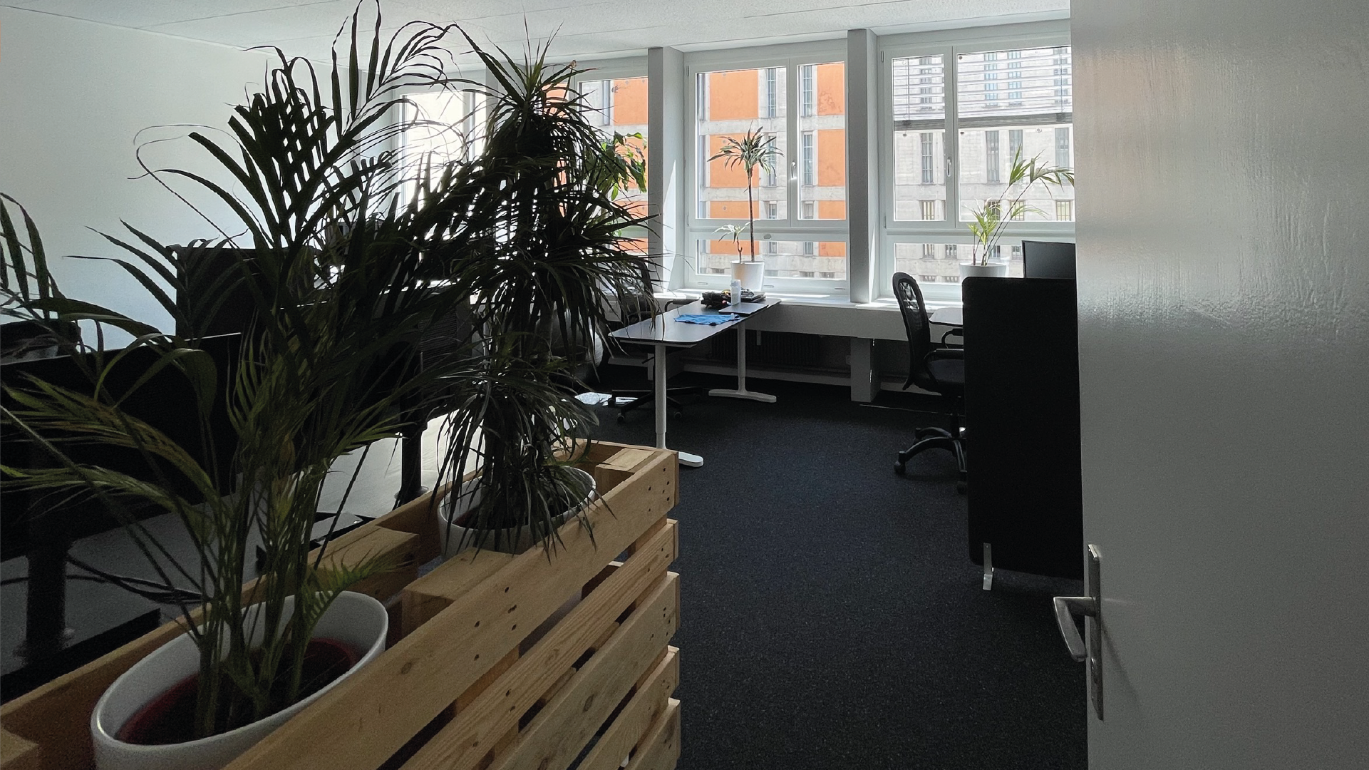 Büro mit Pflanzen im Vordergrund